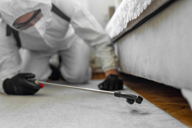 Professional Termite Control technician working in Solvay, NY