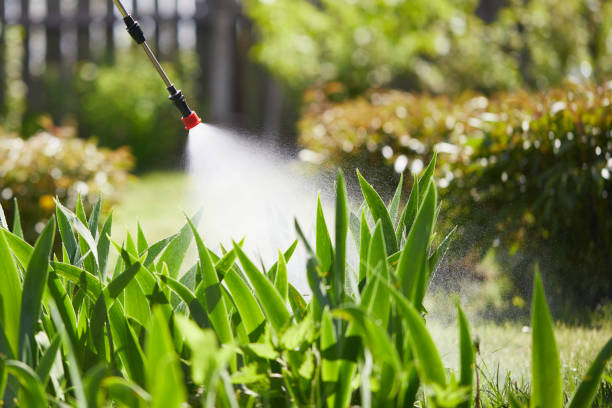 24/7 Emergency Termite Control experts in Solvay, NY