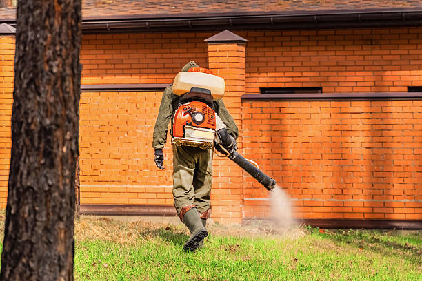 Top rated local Termite Control specialists in Solvay, NY
